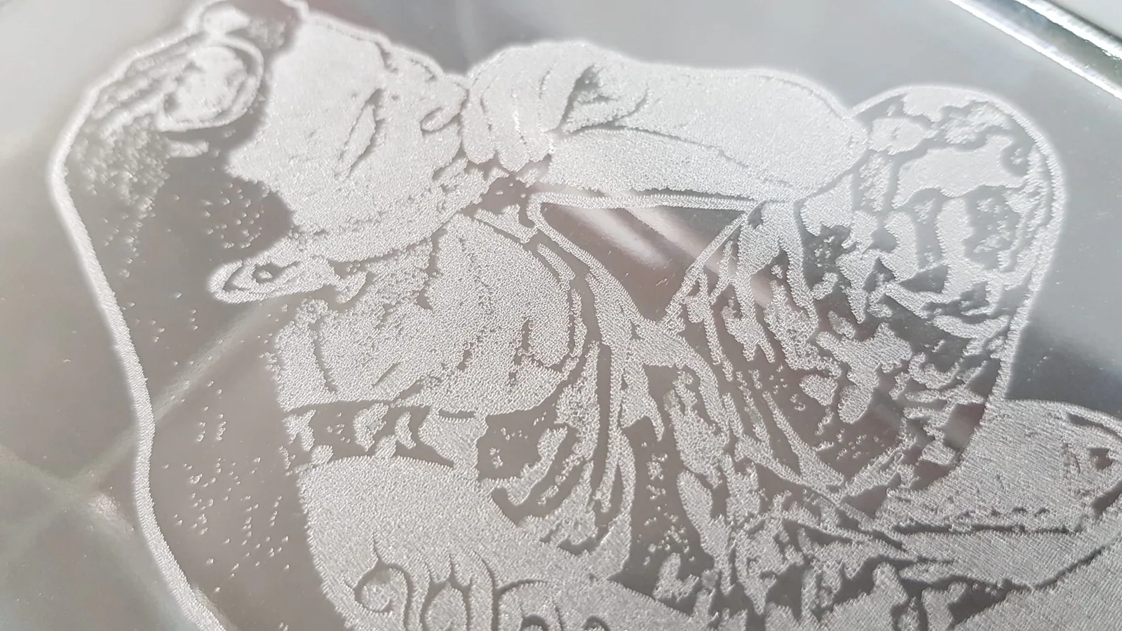 Detail laserom gravírovanej fotografie na skle